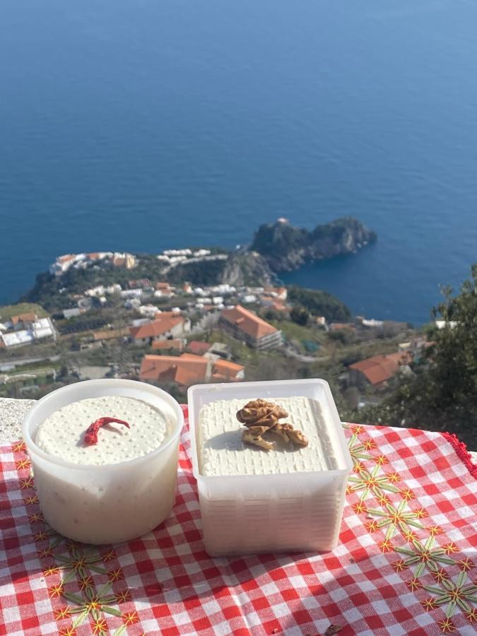 B&B Miramare Agerola Buitenkant foto