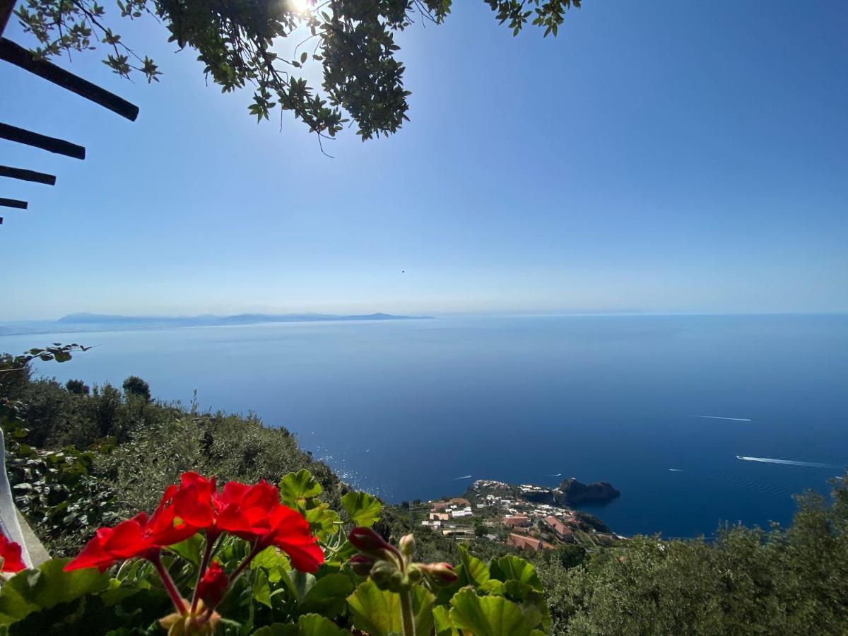 B&B Miramare Agerola Buitenkant foto
