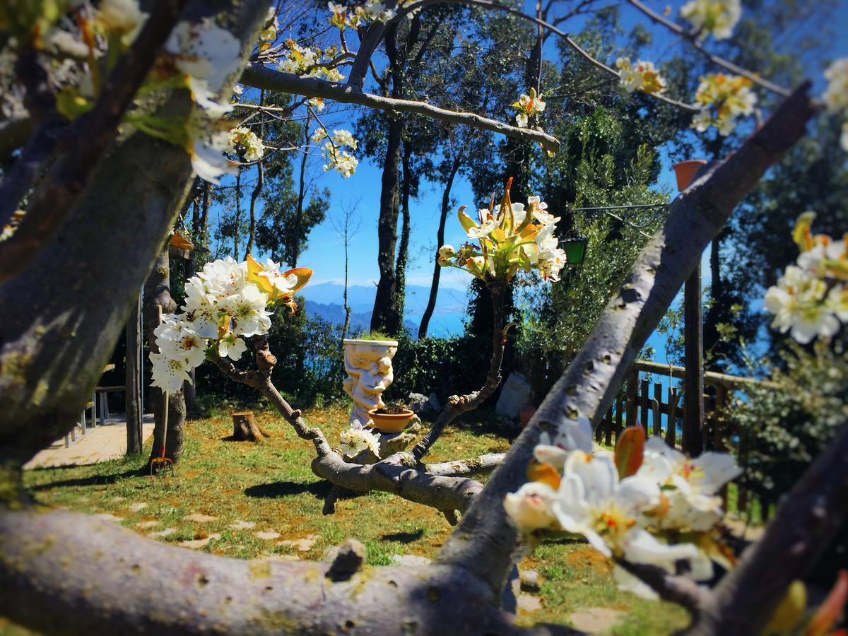 B&B Miramare Agerola Buitenkant foto