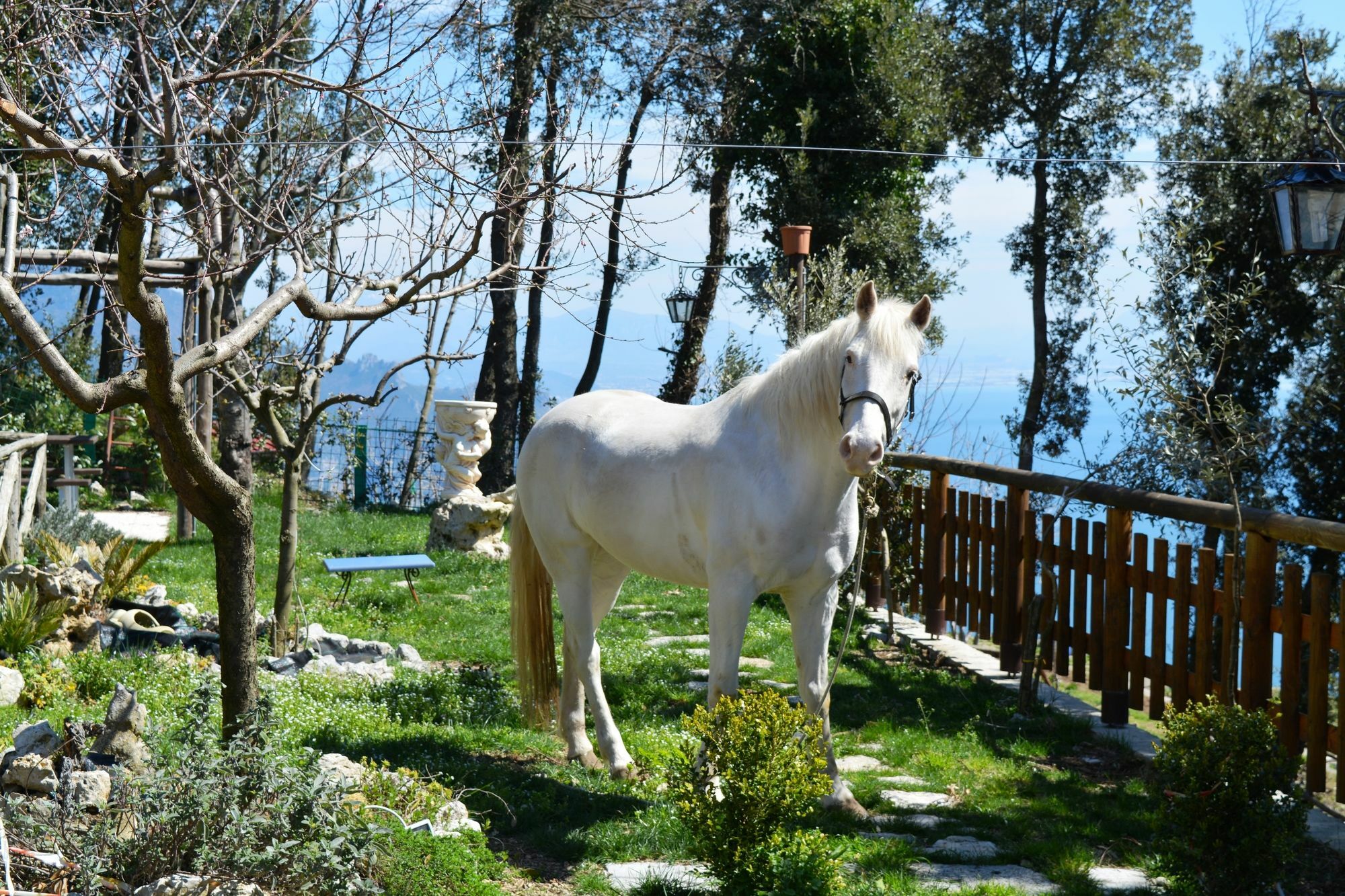 B&B Miramare Agerola Buitenkant foto